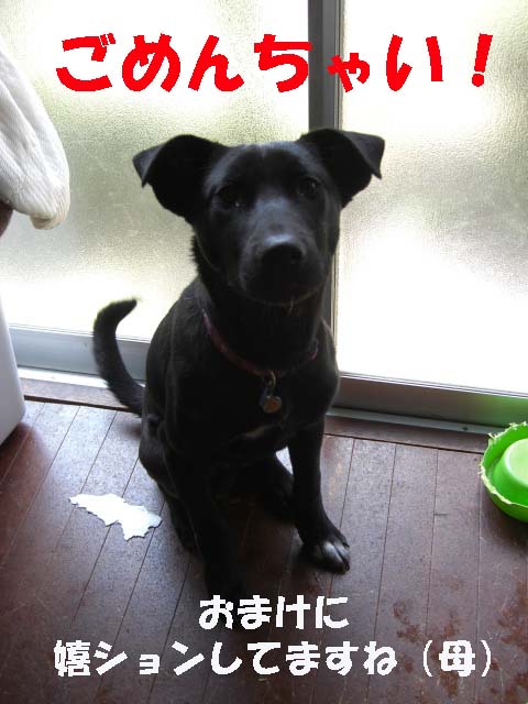 嬉ション.jpg