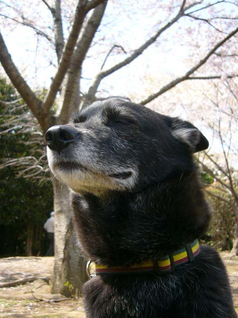 P1020504.jpg