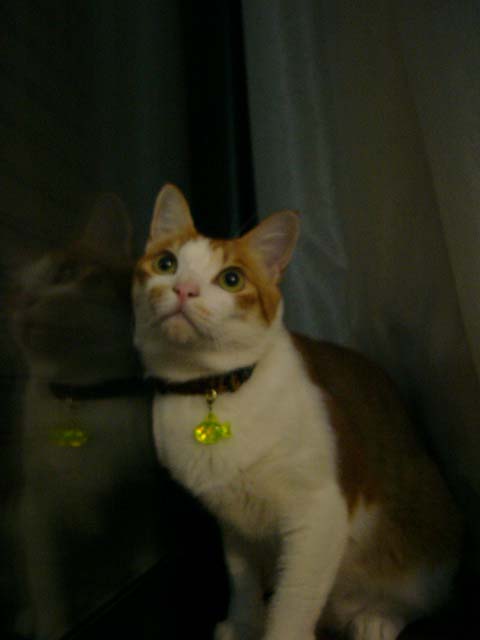P1100101.jpg