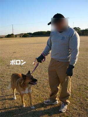 17日その2.jpg