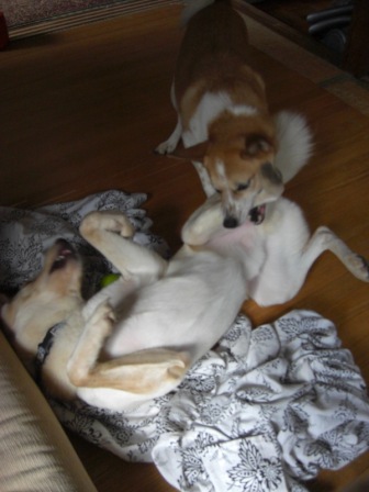 2008110519.JPG