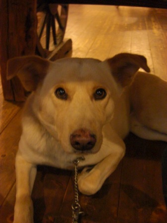 20081206028.JPG