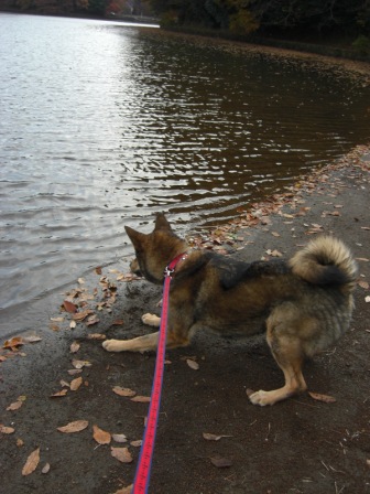 20081206042.JPG
