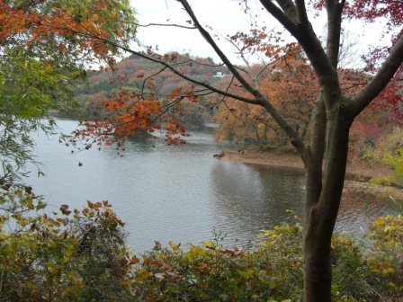 20081206046.JPG