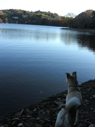20081206097.JPG