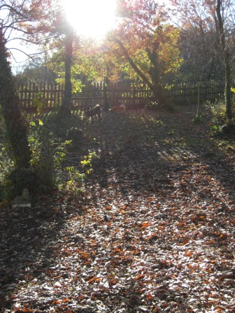 20081206103.JPG