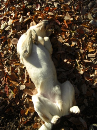 20081206106.JPG