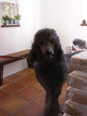20081206109.JPG