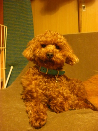 2009030611.JPG