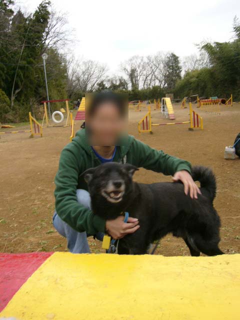アジ