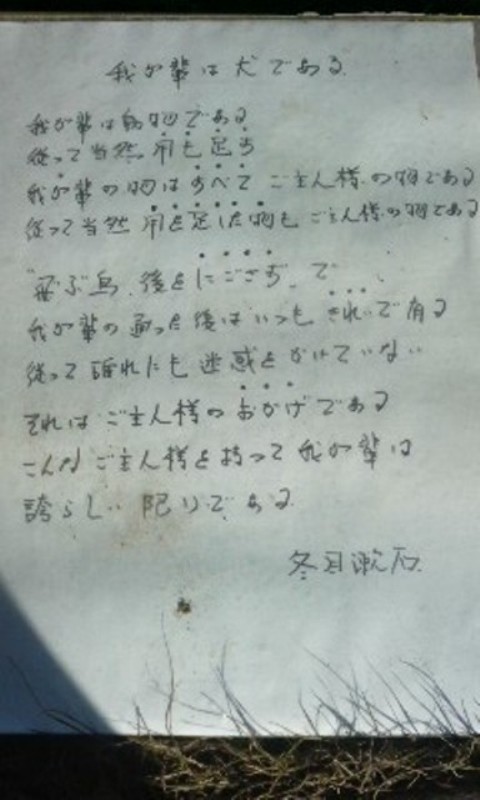 コピー 〜 100119_1405~01.jpg