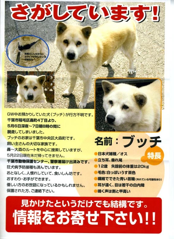 ブッチ.jpg