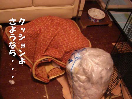 CIMG0919.jpg