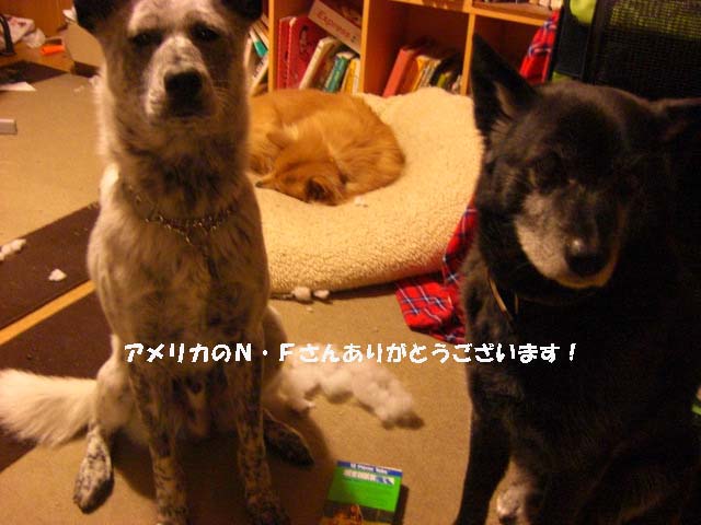 CIMG0921.jpg