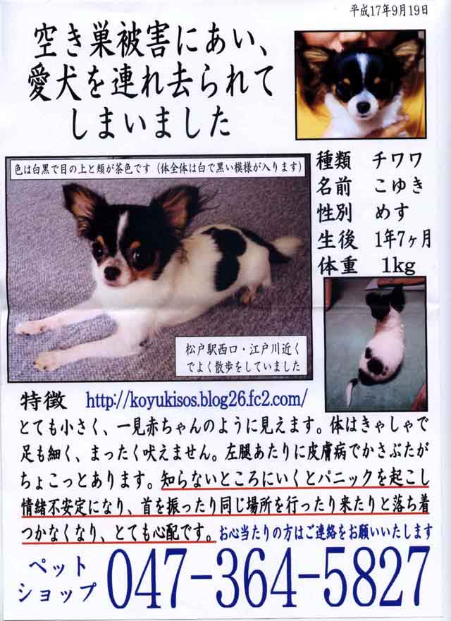 chiwawa.jpg